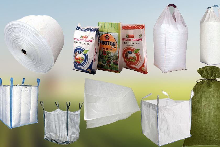 business plan - paper and cloth bags manufacturing (PAC BAGS) | PDF